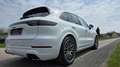 Porsche Cayenne E-Hybrid Platinum Edition ***Vollausstattung*** Weiß - thumbnail 6