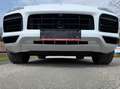 Porsche Cayenne E-Hybrid Platinum Edition ***Vollausstattung*** Weiß - thumbnail 14