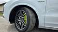 Porsche Cayenne E-Hybrid Platinum Edition ***Vollausstattung*** Weiß - thumbnail 18