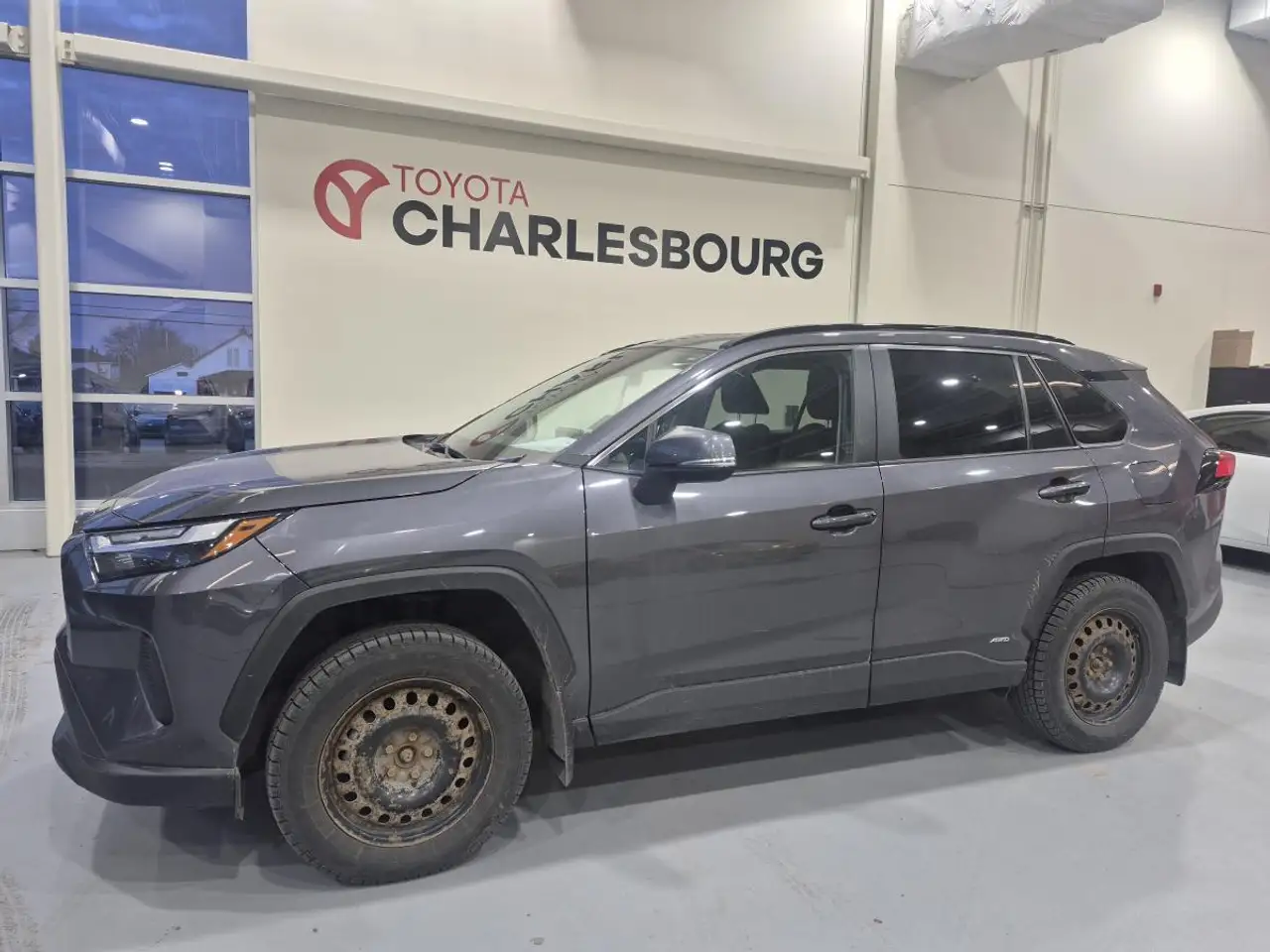 2023 Toyota RAV 4