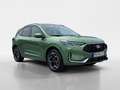 Ford Kuga 2,5 Duratec FHEV ST-Line X Allrad Aut. Grün - thumbnail 2
