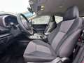Subaru XV 1.6 i Trend Automatik Allrad Abstandstempomat Czerwony - thumbnail 14