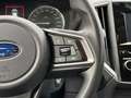 Subaru XV 1.6 i Trend Automatik Allrad Abstandstempomat Czerwony - thumbnail 22