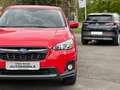Subaru XV 1.6 i Trend Automatik Allrad Abstandstempomat Czerwony - thumbnail 3