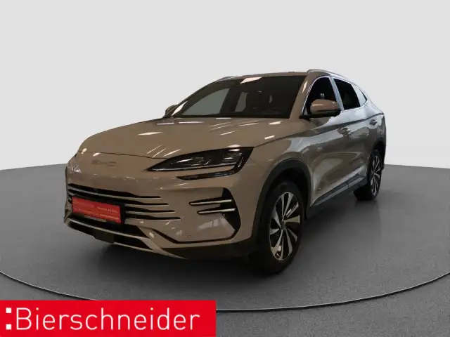 BYD Sonstige