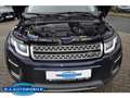 Land Rover Range Rover Evoque SE 2.0 TD4 Autom.,Leder, Pano Blau - thumbnail 18