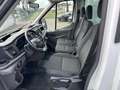 Ford Transit 350 2.0 TDCi L4 FURGONE CASSONE LUNGH.4,40 Wit - thumbnail 9