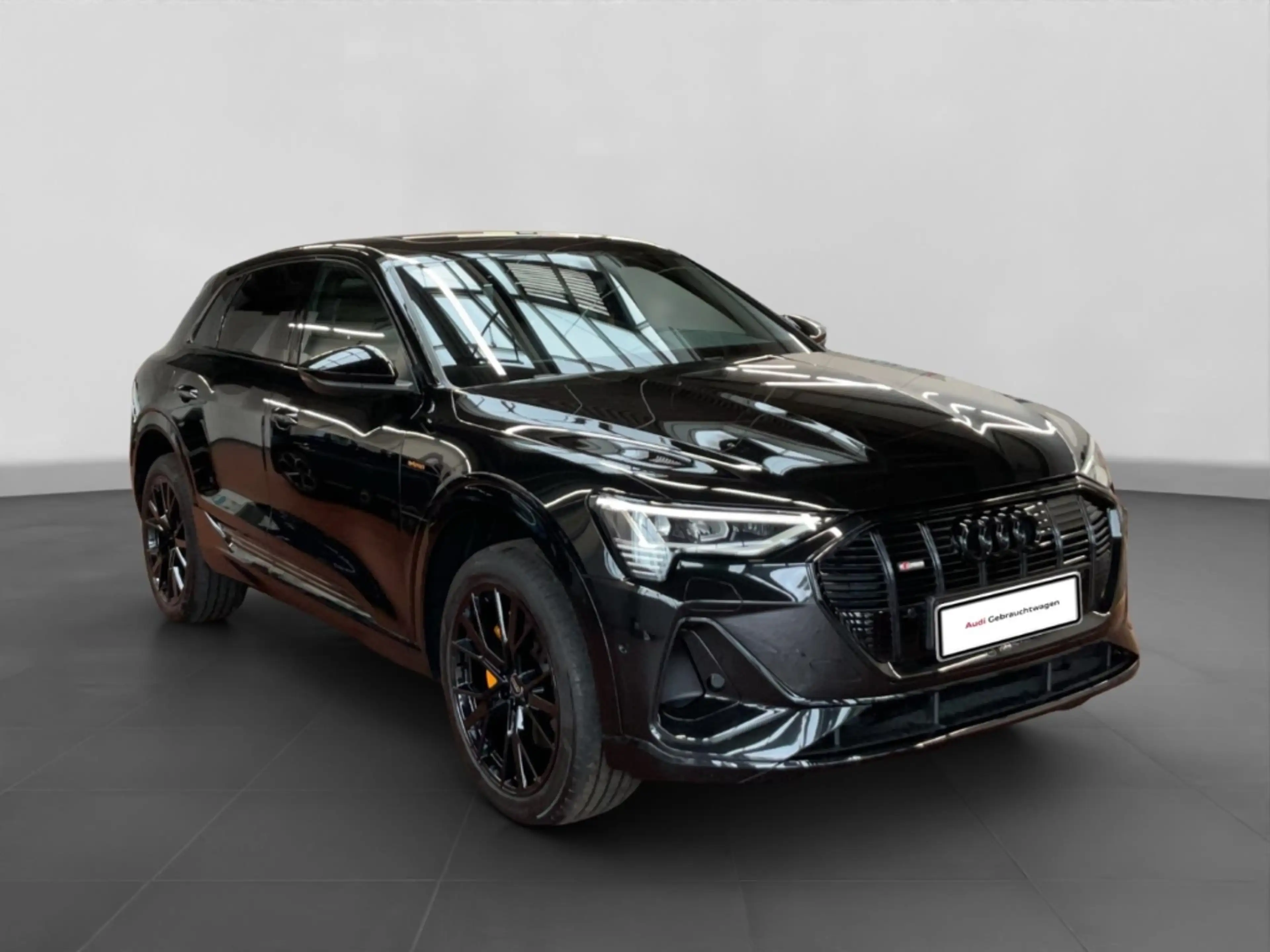 Audi e-tron 50 quattro S line Black Edition Alu LED AHK Pano K — photo 7