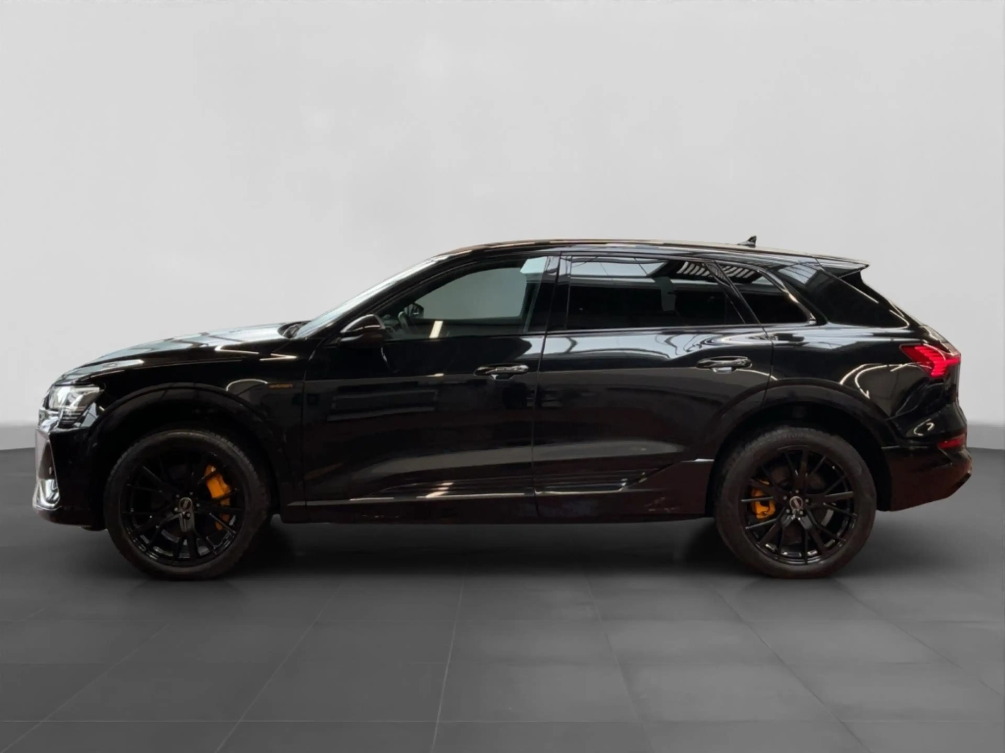 Audi e-tron 50 quattro S line Black Edition Alu LED AHK Pano K — photo 3