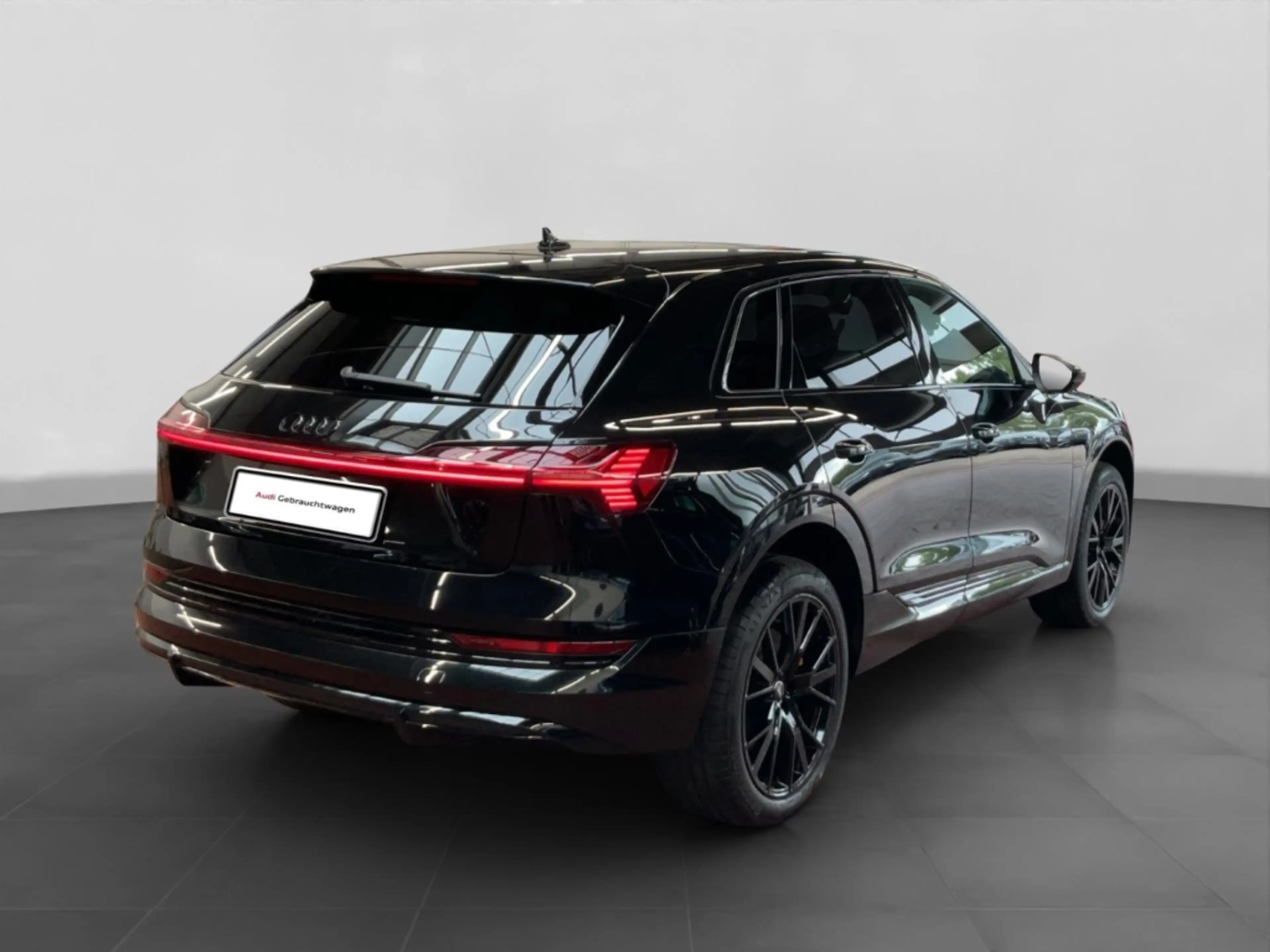 Audi e-tron 50 quattro S line Black Edition Alu LED AHK Pano K — photo 6