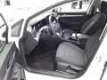 Volkswagen Golf 1.5 LIFE SHZ LED DAB+ ACC AMBIENTE ESP ISOFIX Weiß - thumbnail 5