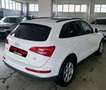 Audi Q5 Q5 2.0 tdi Advanced Plus quattro 170cv s-tronic Blanc - thumbnail 4