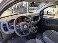 Fiat Panda Panda 1.2 Easy Grigio - thumbnail 6