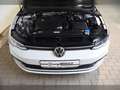 Volkswagen Golf VIII TSI Life AHK - LED - Navi - RearView Alb - thumbnail 6