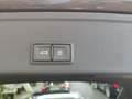 Audi RS4 331(450) kW(PS) tiptronic Gris - thumbnail 23