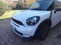 MINI Cooper SD Paceman COOPER SD JKW Weiß - thumbnail 2