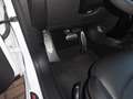 MINI Cooper SD Paceman COOPER SD JKW Weiß - thumbnail 19