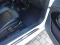 MINI Cooper SD Paceman COOPER SD JKW Weiß - thumbnail 26