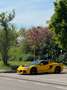 Lotus Exige Coupe 3.5 S allestimento Full Carbon Gelb - thumbnail 9