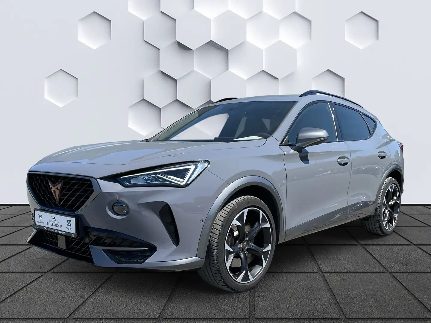 CUPRA Formentor VZ 2.0 TSI DSG 4Drive AHK Navi Leder e Gris - 1