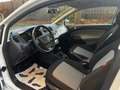 SEAT Ibiza Style Salsa/Klima/Alu/Tüv-Neu/Isofix/ELFH/ELSP Weiß - thumbnail 8