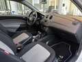 SEAT Ibiza Style Salsa/Klima/Alu/Tüv-Neu/Isofix/ELFH/ELSP Weiß - thumbnail 9