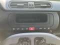 Fiat Panda (319) City Plus Schwarz - thumbnail 9
