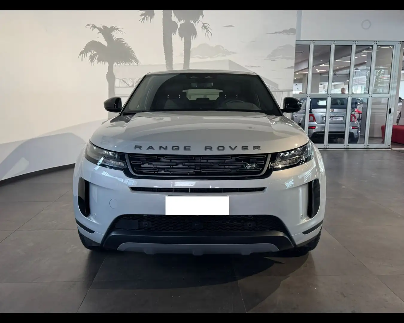 Land Rover Range Rover Evoque 2ª serie Range Rover Evoque 2.0D I4 163 CV AWD Au Gris - 2