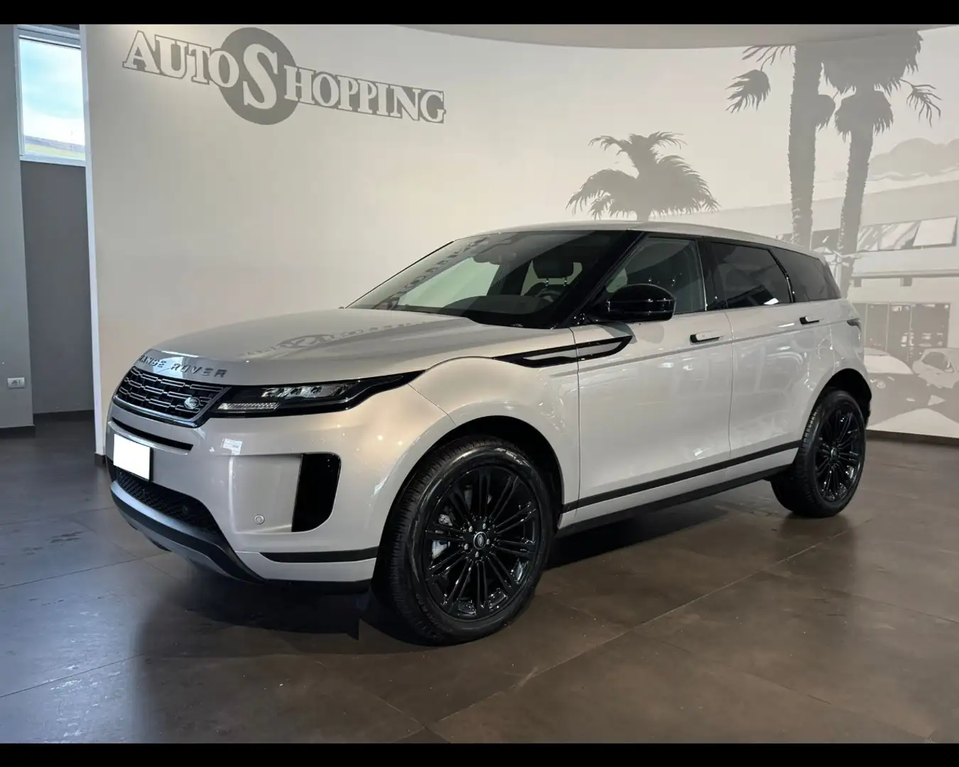Land Rover Range Rover Evoque 2ª serie Range Rover Evoque 2.0D I4 163 CV AWD Au Gris - 1