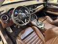 Alfa Romeo Stelvio 2.2 t Executive Q4 210cv auto Bianco - thumbnail 9