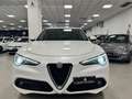Alfa Romeo Stelvio 2.2 t Executive Q4 210cv auto Bianco - thumbnail 3