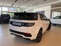 Land Rover Discovery Sport Discovery Sport 2.0 si4 mhev R-Dynamic S Awd 200cv White - thumbnail 6