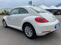 Volkswagen New Beetle 1.6 TDI DESIGN 1 PROPR. Blanc - thumbnail 5