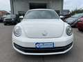 Volkswagen New Beetle 1.6 TDI DESIGN 1 PROPR. Bianco - thumbnail 2