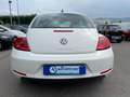 Volkswagen New Beetle 1.6 TDI DESIGN 1 PROPR. Bianco - thumbnail 4