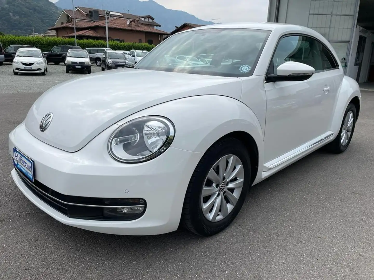 Volkswagen New Beetle 1.6 TDI DESIGN 1 PROPR. Fehér - 1