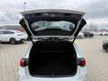 Mercedes-Benz B 200 AMG AHK/360°/Pano/Tot/Sound/eleHeck/MuBeam Weiß - thumbnail 5