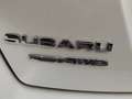 Subaru XV Bianco - thumbnail 3