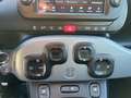 Fiat Panda Panda III 2021 Cross Panda 1.0 firefly hybrid Cit Weiß - thumbnail 18