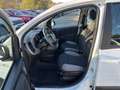 Fiat Panda Panda III 2021 Cross Panda 1.0 firefly hybrid Cit Weiß - thumbnail 13