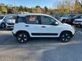 Fiat Panda Panda III 2021 Cross Panda 1.0 firefly hybrid Cit Weiß - thumbnail 6