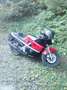 Kawasaki GPZ 600 r Rood - thumbnail 3