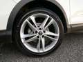 Nissan Qashqai Qashqai 1.5 dCi 115 CV DCT Business + Apple Carpl Bianco - thumbnail 5
