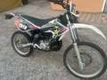 Beta RR 50 - thumbnail 2