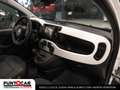 Fiat Panda Pandina Cross  1.0 FireFly S&S Hybrid PROMO FLEX Verde - thumbnail 14