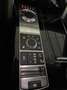 Land Rover Range Rover Range Rover IV 2013 3.0 tdV6 Autobiography auto Verde - thumbnail 11