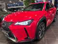 Lexus 250 h Style RFK LED CarPlay Rouge - thumbnail 3