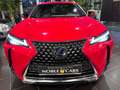 Lexus 250 h Style RFK LED CarPlay Rouge - thumbnail 2
