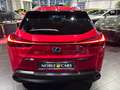 Lexus 250 h Style RFK LED CarPlay Rouge - thumbnail 6