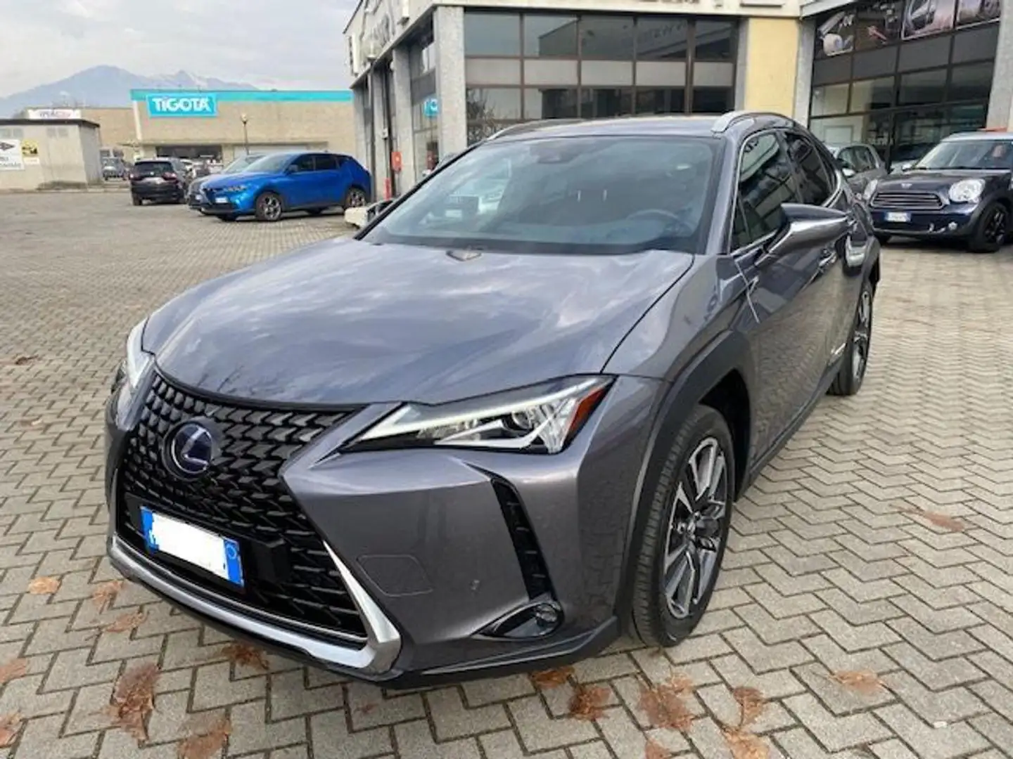 Lexus UX 250h UX Hybrid 4WD Premium ,Come nuovo,Occasione! Grau - 1